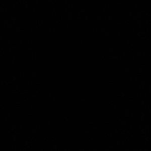 Meet your Posher, Payton